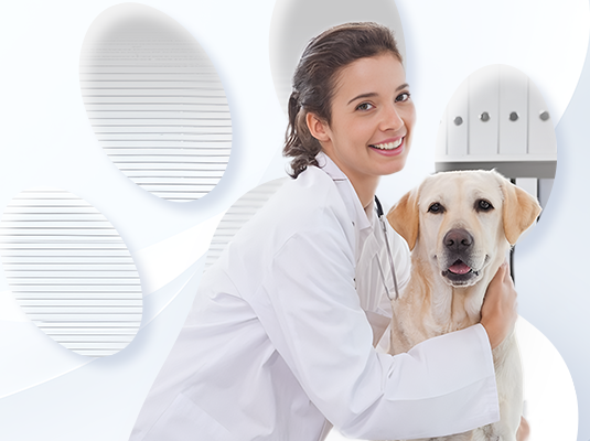 long8-龙八(中国)唯一官方网站